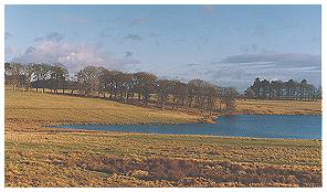 melchett mere - Tatton Park - Knutsford Cheshire