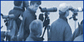 Dutch-birding