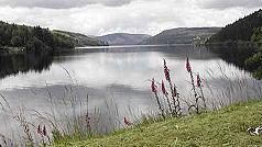 Lake Vyrnwy