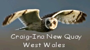 cottage accommodation west wales