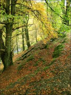 Autumn in the Goyt Valley
