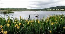 View from the public hide Leighton Moss RSPB Reserve