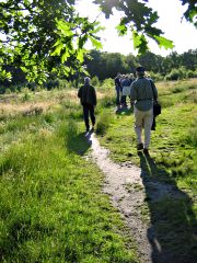 Lindow Common