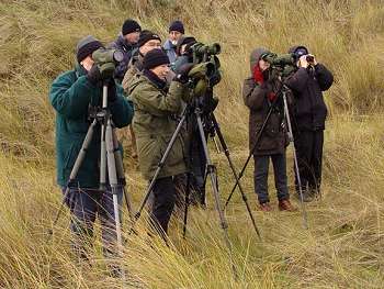 Marshside dec 2003