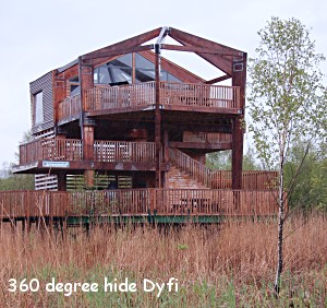 {short description of image}