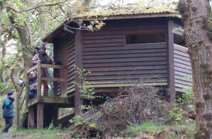 {short description of image}